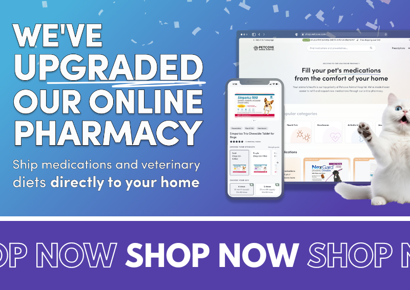 Carousel Slide 3: Check out our new and improved online pet pharmacy!