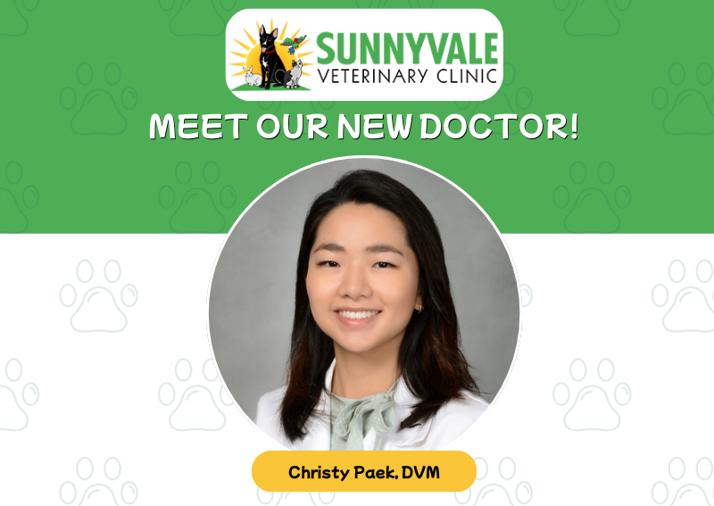 Carousel Slide 1: Click here to schedule with our new doctor!